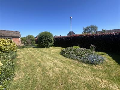 Picture 27